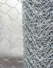 Hexagonal wire Netting